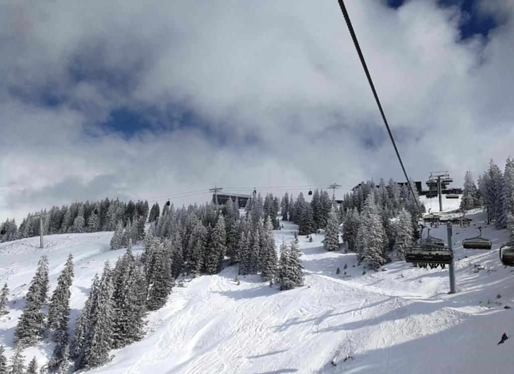 Residence Cosy Westendorf Eksteriør bilde